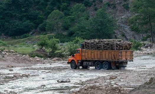 افزایش ۳۲ درصدی کشف چوب  آلات جنگلی