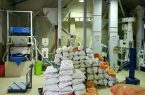 آمادگی ۱ هزار و ۴۲۵ کارخانه شالیکوبی در گیلان برای تبدیل شلتوک به برنج