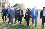 اختصاص ۳۰میلیارد ریال اعتبار برای احداث خانه کشتی ماسال /  ۵مکان ورزشی شهرستان ماسال با ۶ میلیارد ریال اعتبار تجهیز و بازسازی شد