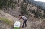نجات و رهاسازی کبک های گرفتار دربند در ارتفاعات روستای طلابر رودبار