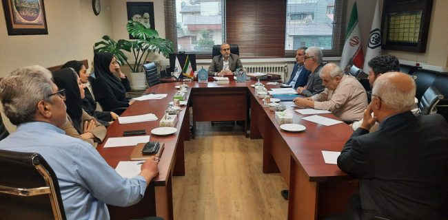 کارگزاری های رسمی به منزله بازویی توانمند برای تامین اجتماعی هستند