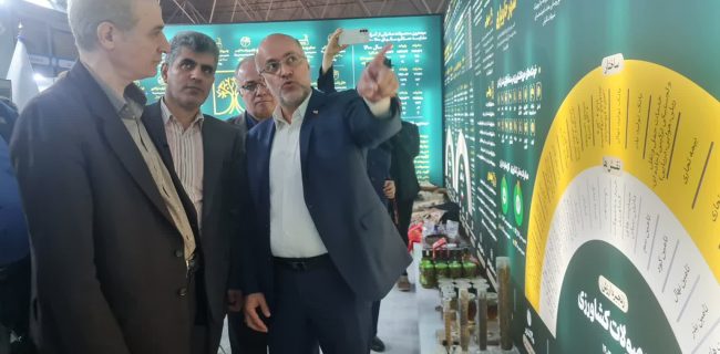 گیلان از زنجیره‌های قوی تولید طیور کشور است