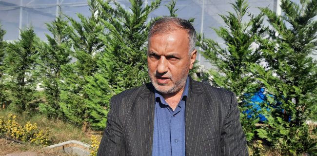 فعالیت اولین باغ مادر تولید نهال کیوی در دهستان قاضیان بخش سنگر شهرستان رشت/ نهال و میوه ای با طعم دانش بنیان