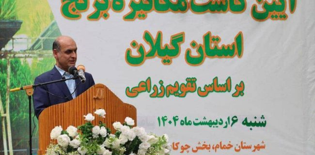 آغاز کشت برنج در ۲۳۸ هزار هکتار از اراضی گیلان
