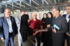 دختران کارگر کارخانه پینک تجلیل شدند