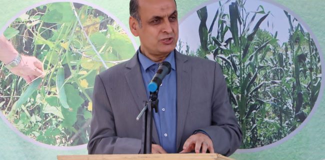 نه به دفن زباله در جنگل؛ استاندار گیلان بر لزوم تغییر رویکرد در مدیریت پسماند تأکید کرد