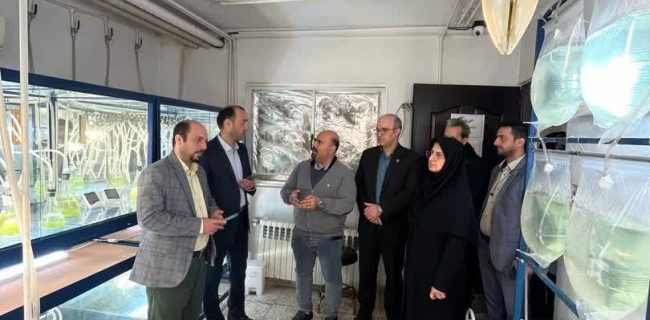گامی نوین در بهره‌گیری از ظرفیت‌های دانش‌بنیان