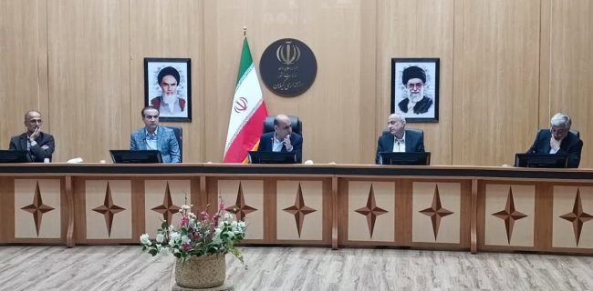 عدم تخصیص ارز و احتکار خانگی دو عامل کسری روغن در سطح تولید و عرضه است