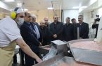 بازدید استاندار گیلان و مدیرعامل سازمان منطقه آزاد انزلی از واحدهای تولیدی شهرک صنعتی منطقه