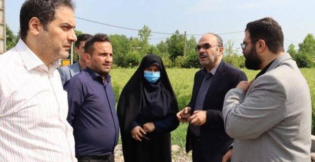 فرماندار خمام خواستار همکاری و تعامل نزدیک‌تر دستگاه‌های اجرایی برای تسریع در روند مطالعات و اجرای پروژه‌های صنعتی خمام شد