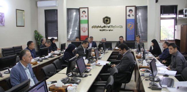 طرح هادی نقشه راه توسعه پایدار روستاها است