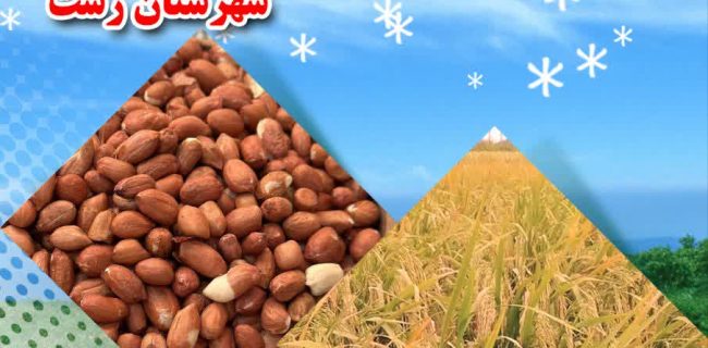 دومین جشنواره بادام زمینی و برنج در بخش لشت نشاء برگزار می گردد