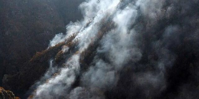 ۲۰ نقطه از جنگل های رودبار و سیاهکل درگیر حریق شد/ بازداشت ۲ نفر