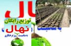 توزیع رایگان یک میلیون ودویست هزار نهال در بین مردم