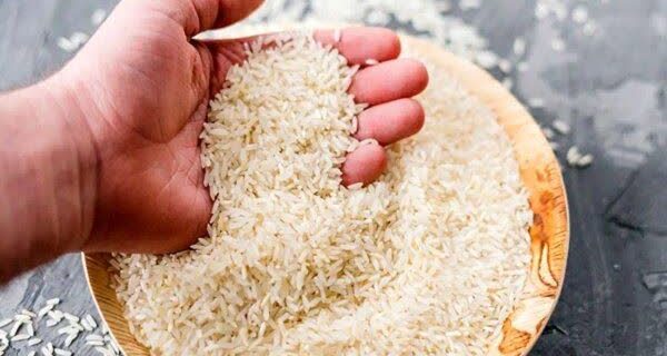 آغاز شناسنامه‌دار شدن محصولات کشاورزی در گیلان