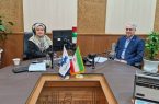 اجرای طرح‌های توسعه‌ای با هدف افزایش کیفیت خدمات، ارتقای رضایت مشترکان و گسترش دسترسی به اینترنت پرسرعت در دستور کار قرار دارد