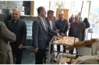 قیمت نان مناسب سازی شد ولی کیفیت نه / تشکیل ۷۳۰ پرونده برای نانوایان متخلف گیلان