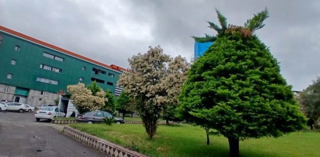 آسایشگاه معلولین وسالمندان رشت (خیریه ) نیازمند همراهی ومشارکت مردم خیراندیش است