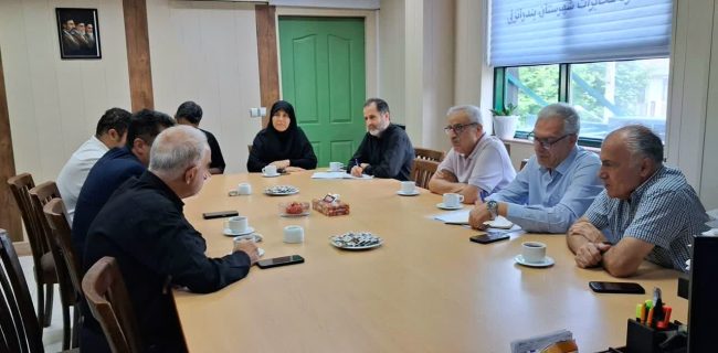 بررسی راهکارهای توسعه شبکه فیبرنوری و تقویت آنتن‌دهی تلفن همراه در دهکده ساحلی بندرانزلی