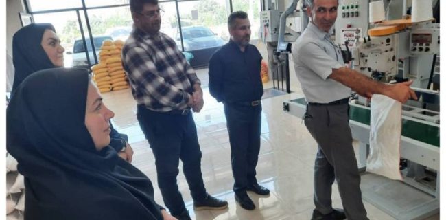بازدید مدیرکل پست استان گیلان از سورتینگ برنج شعبانی در شهرستان رضوانشهر؛ توسعه تجارت الکترونیک و حمایت از محصولات استراتژیک بومی با انعقاد چند قرارداد همکاری