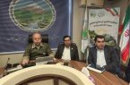 رتبه نخست استان گیلان در تولید وکاشت نهال جنگلی در کشور