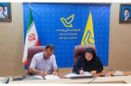 ظرفیت شبکه پستی گیلان در خدمت توسعه بازار برنج رضوانشهر/ همکاری با تولیدکنندگان و فعالان اقتصادی یکی از رویکردهای پست گیلان برای حمایت از کسب‌وکارهای بومی و توسعه تجارت الکترونیکی