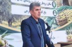 زنجیره زیتون در جنوب گیلان تکمیل شود/بازارچه تخصصی؛ مطالبه‌ای که می‌تواند بازار زیتون را سامان دهد