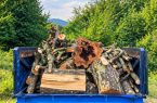 کشف و ضبط یک دپوی غیرمجاز چوب‌آلات جنگلی در منطقه مراددهنده شهرستان لاهیجان