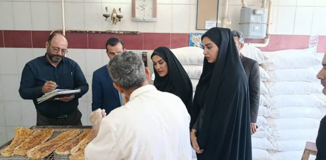 یک واحد متخلف در شهر خشکبیجار پلمب شد/ تهیدست: رضایتمندی مردم از نانوایی‌ها، محور نظارت در همه بخش‌های رشت است