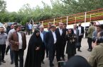 بیست‌ویکمین جشنواره زیبایی «اسب کاسپین» در باشگاه سوارکاری تک‌تاز برگزار شد