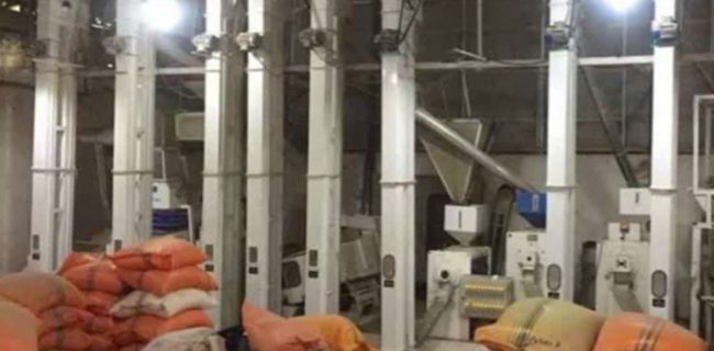 آمادگی جهاد کشاورزی گیلان برای بررسی ۲۰ طرح سرمایه در گردش شالیکوبی‌ها